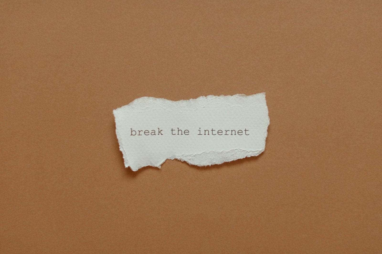 close up of torn out phrase on paper
