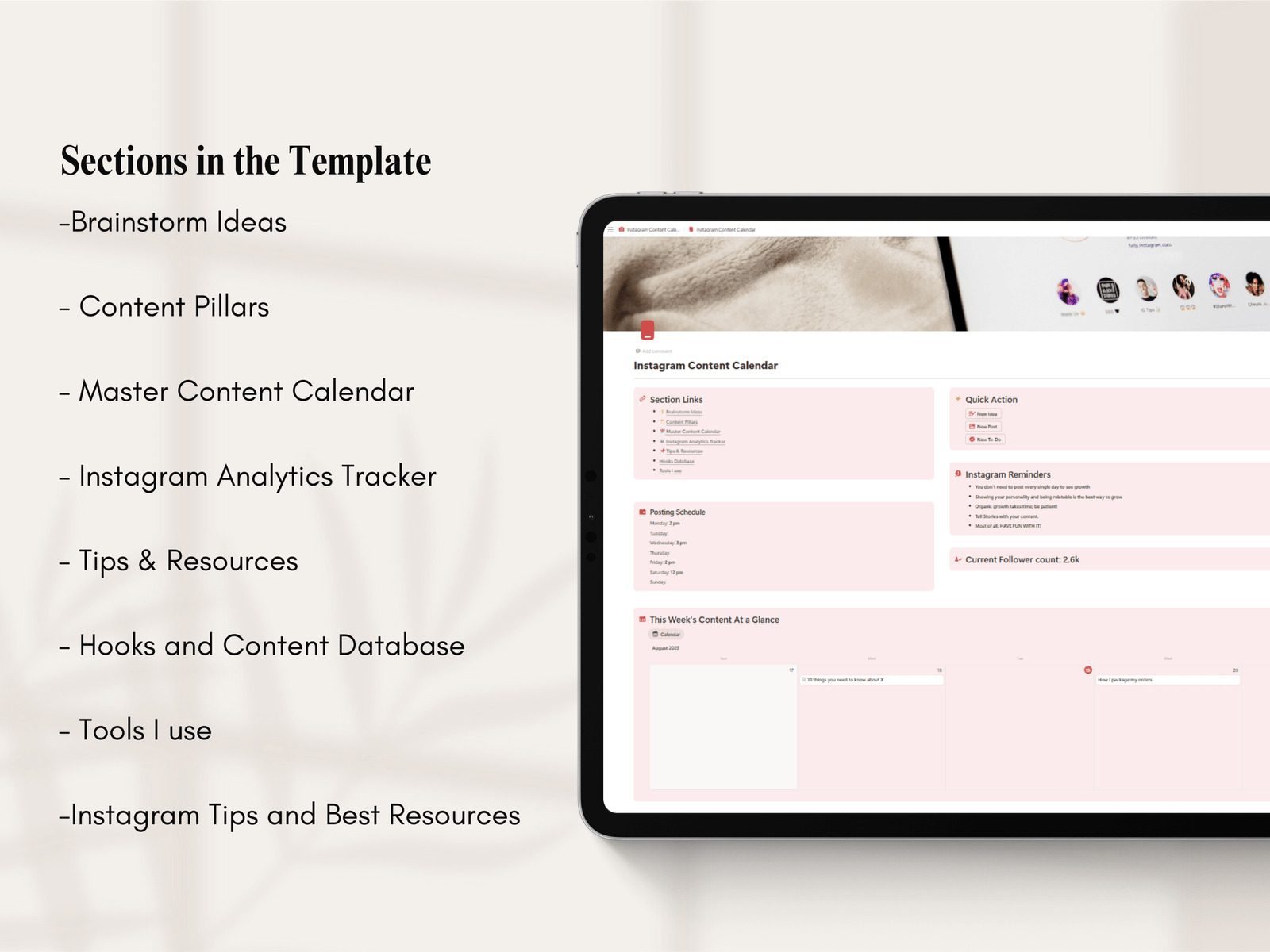 Notion Template Instagram Planner for Content Creators and Small Businesses - Image 2