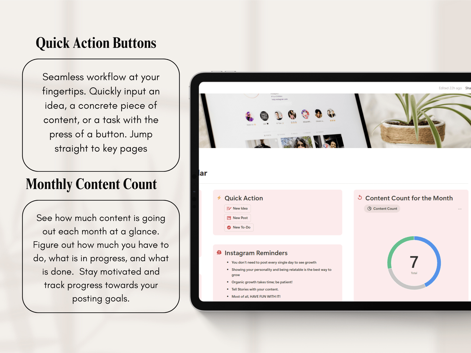 Notion Template Instagram Planner for Content Creators and Small Businesses - Image 7